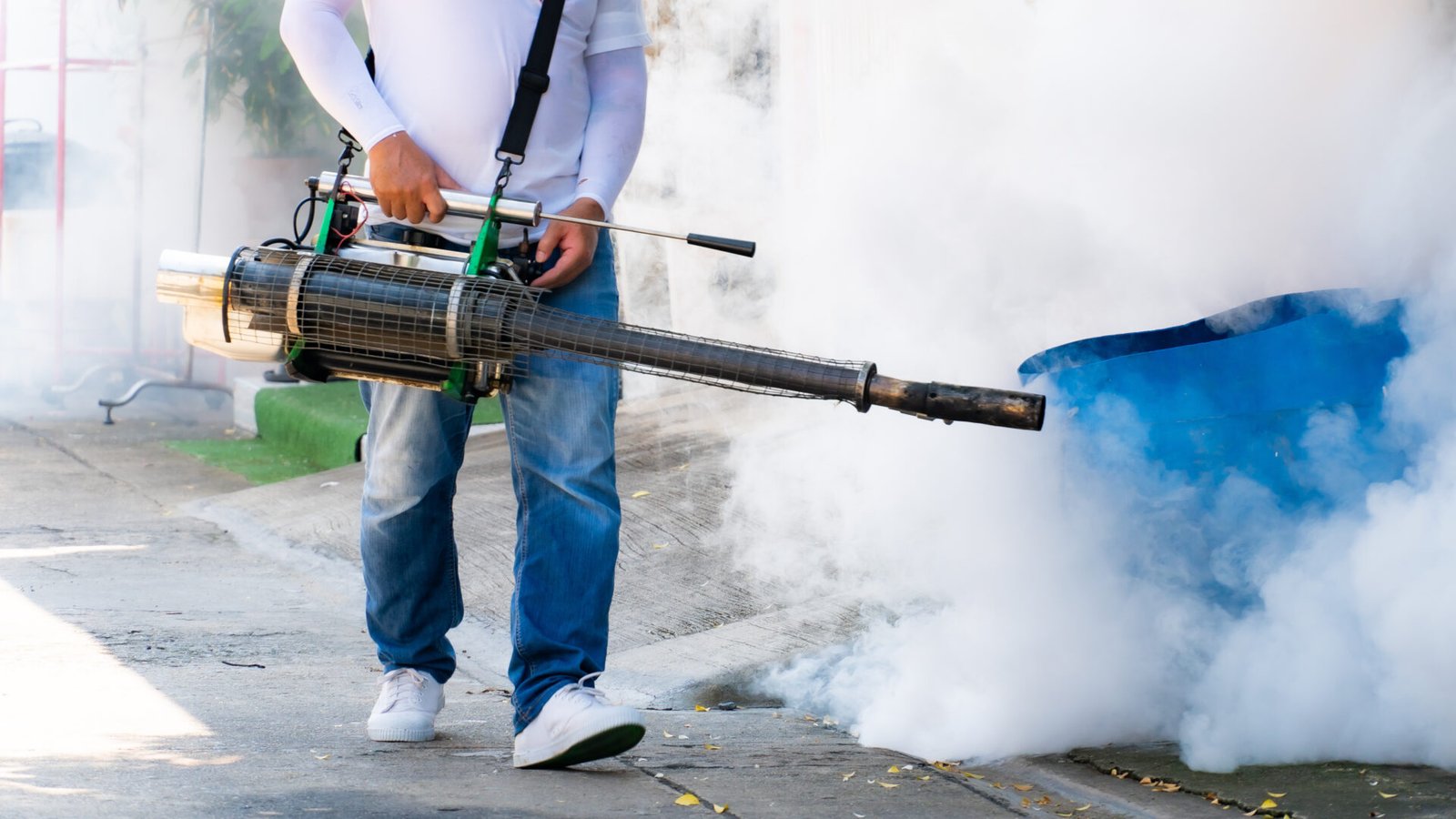 Ghaziabad Pest Control | +91 7011353628